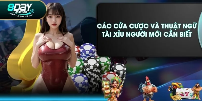 Các cửa cược và thuật ngữ Tài Xỉu người mới cần biết