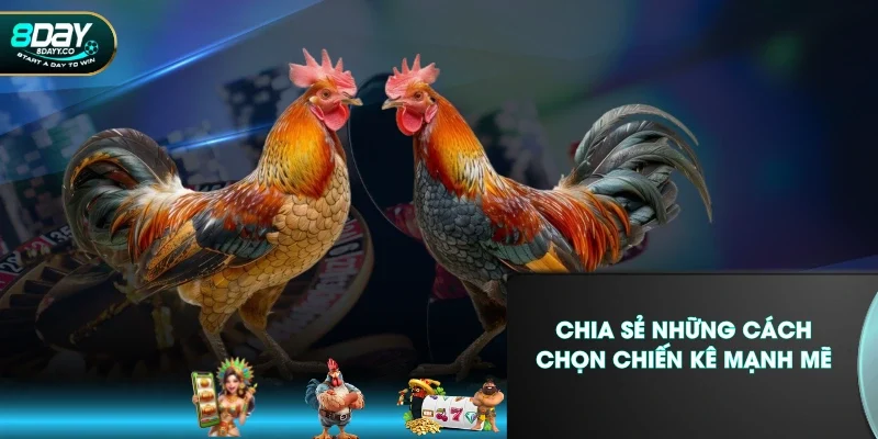 Chia sẻ những cách chọn chiến kê mạnh mẽ