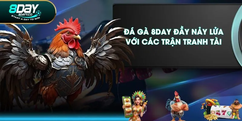 Đá Gà 8DAY đầy nảy lửa với các trận tranh tài
