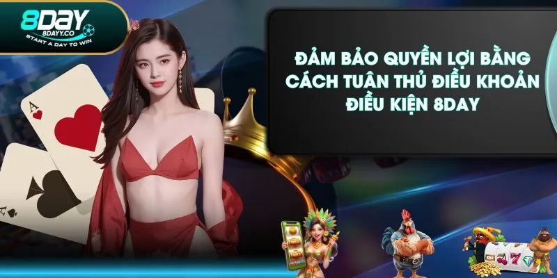 Đảm bảo quyền lợi bằng cách tuân thủ điều khoản điều kiện 8DAY