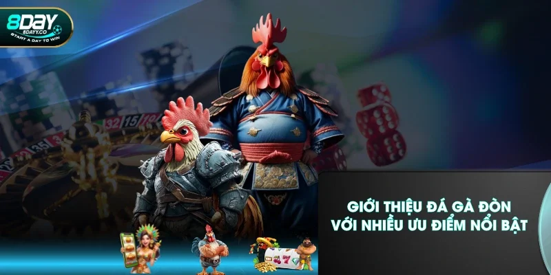 Giới thiệu đá gà đòn với nhiều ưu điểm nổi bật