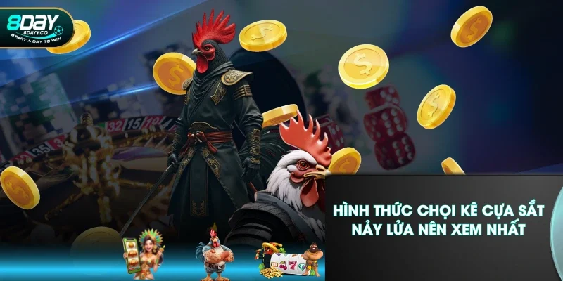 Hình thức chọi kê cựa sắt nảy lửa nên xem nhất