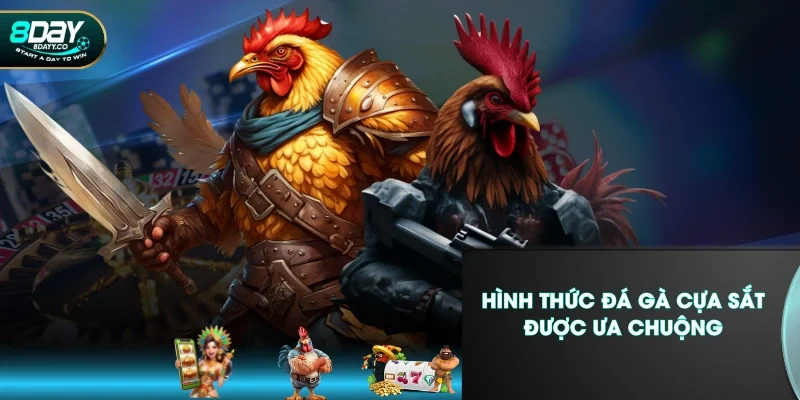 Hình thức đá gà cựa sắt được ưa chuộng