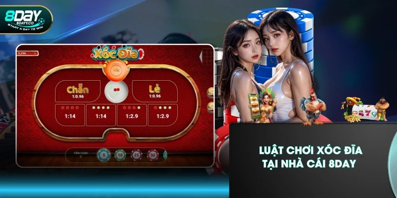 Luật chơi Xóc Đĩa tại nhà cái 8DAY
