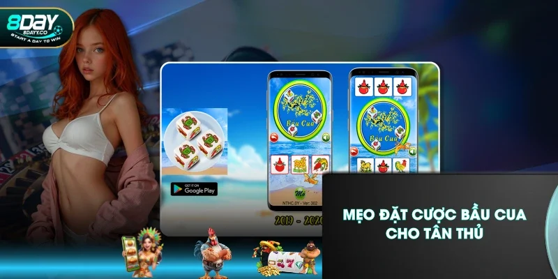 Mẹo đặt cược bầu cua cho tân thủ