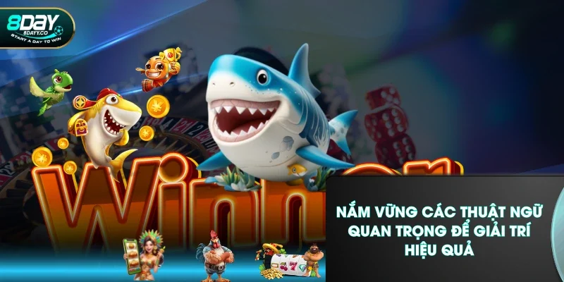 Nắm vững các thuật ngữ quan trọng để giải trí hiệu quả
