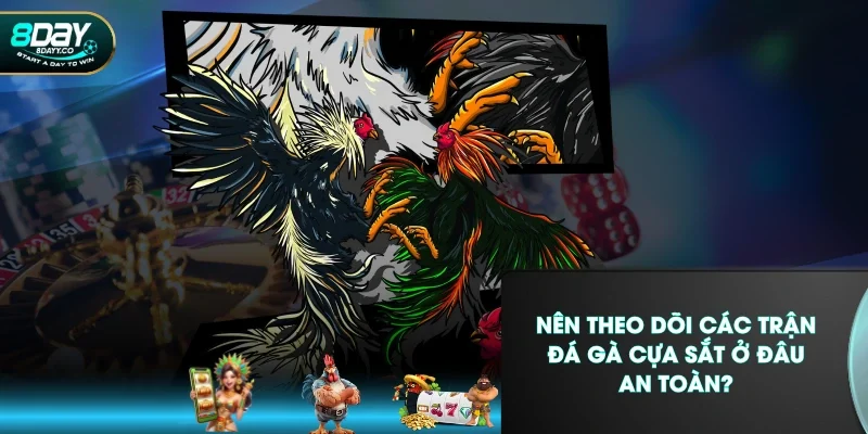 Nên theo dõi các trận đá gà cựa sắt ở đâu an toàn?