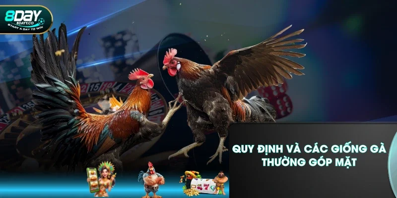 Quy định và các giống gà thường góp mặt