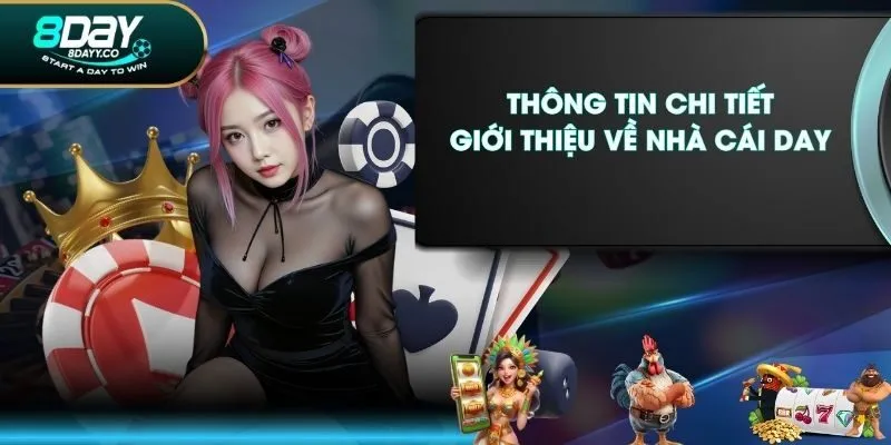Thông tin chi tiết giới thiệu về nhà cái 8DAY