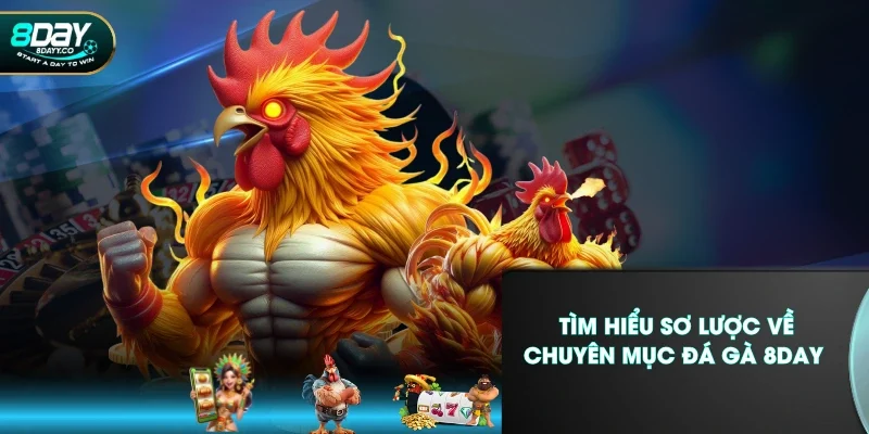 Tìm hiểu sơ lược về chuyên mục đá gà 8DAY